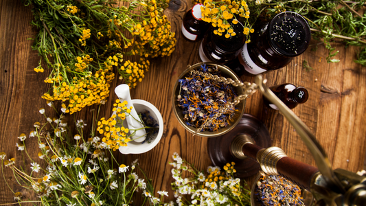 What Are Terpenes in Hemp? A Beginner’s Guide to Nature’s Aromatic Compounds