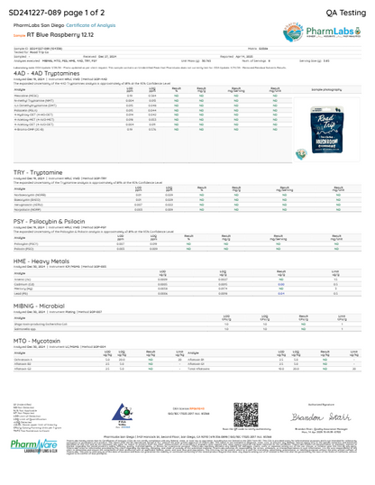 Road Trip Mushroom Gummies