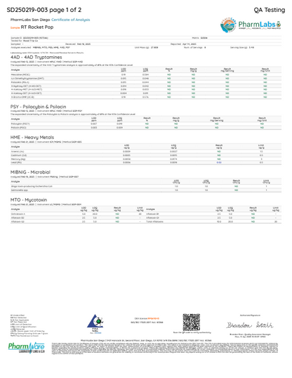 Road Trip Mushroom Gummies
