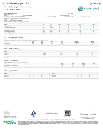 Road Trip Mushroom Gummies